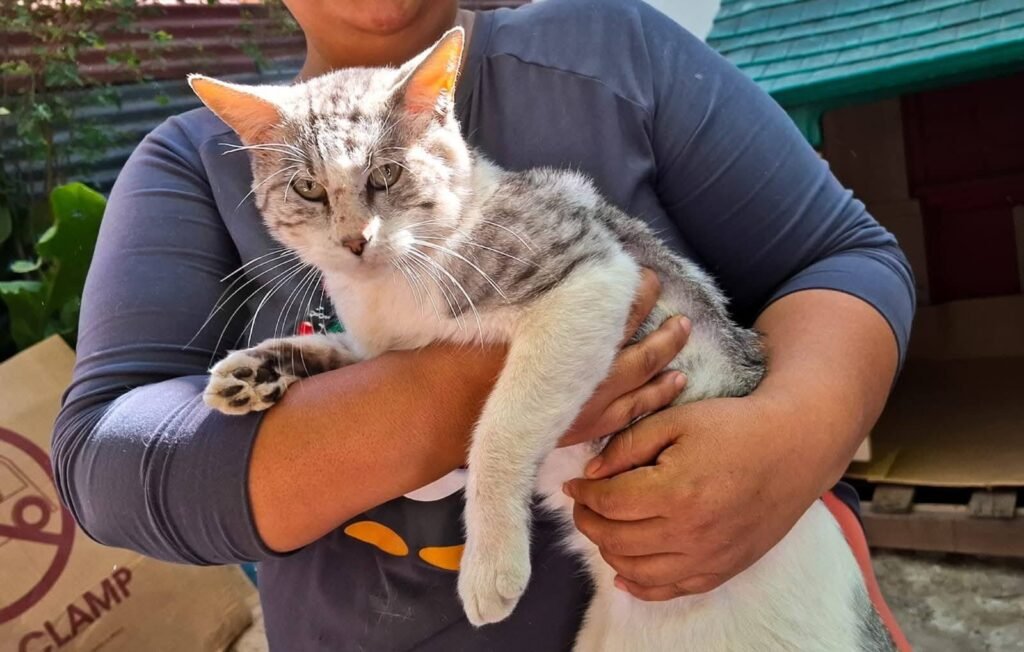 625439744 877583801733866 9116548805034918242 n