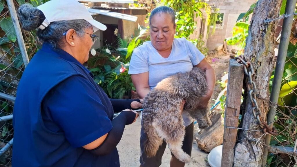 626812370 877583838400529 5536322564398776070 n