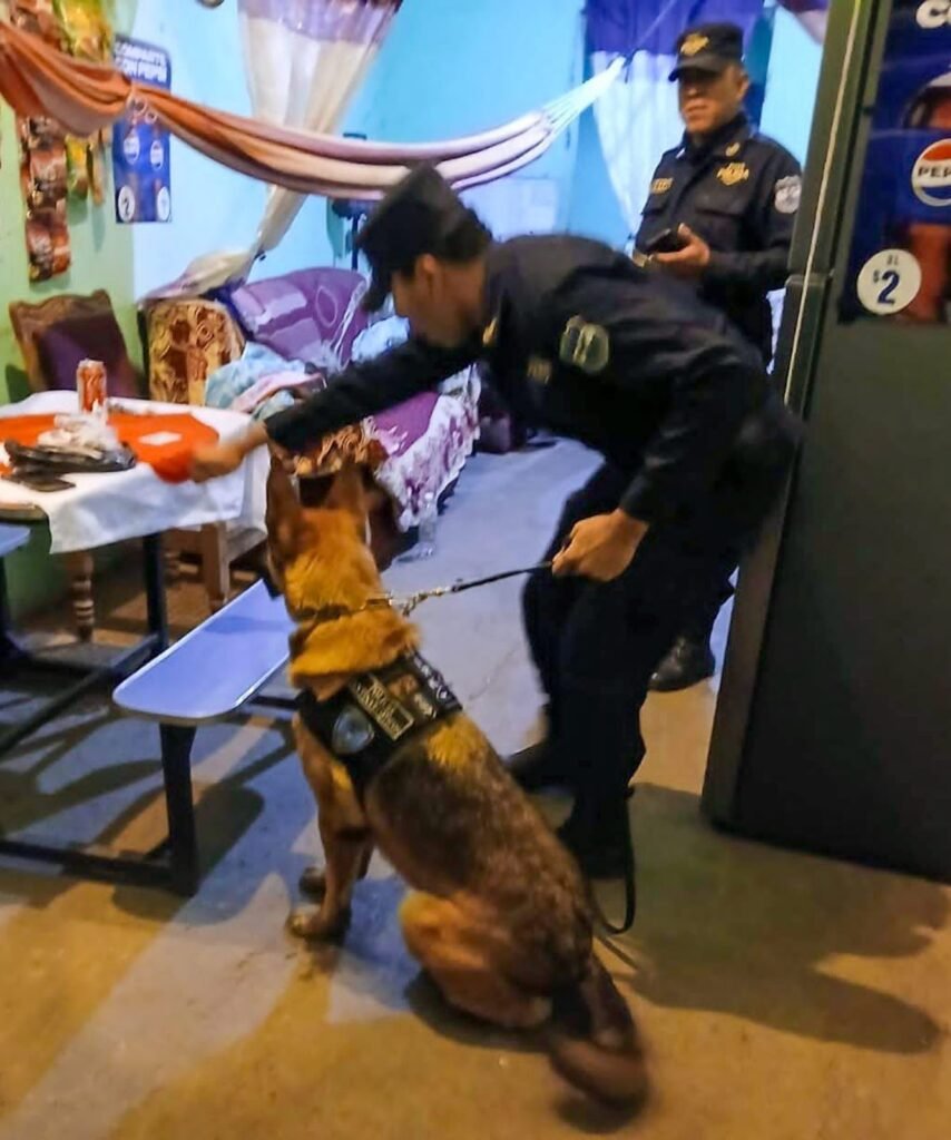 629229874 1217443937260700 5035293599128209135 n