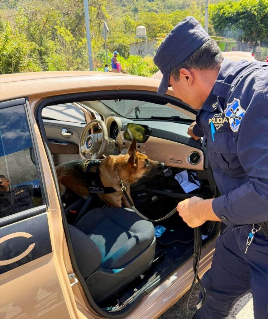 629316157 1314982783996738 1136734112122371655 n