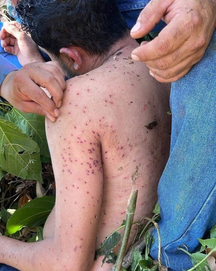 634702002 949979490891929 703413498791930670 n