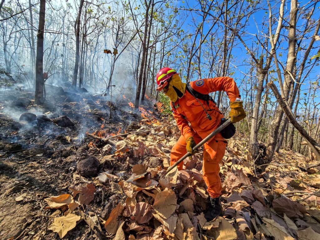 Protección Civil atiende 36 incendios en una jornada y mantiene Alerta Amarilla. 2 636674820 892709936887919 4818080066478573475 n