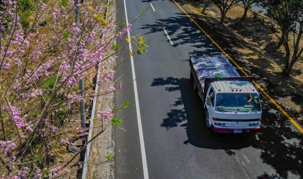 636840111 1275343278103263 2406318268889778207 n 1