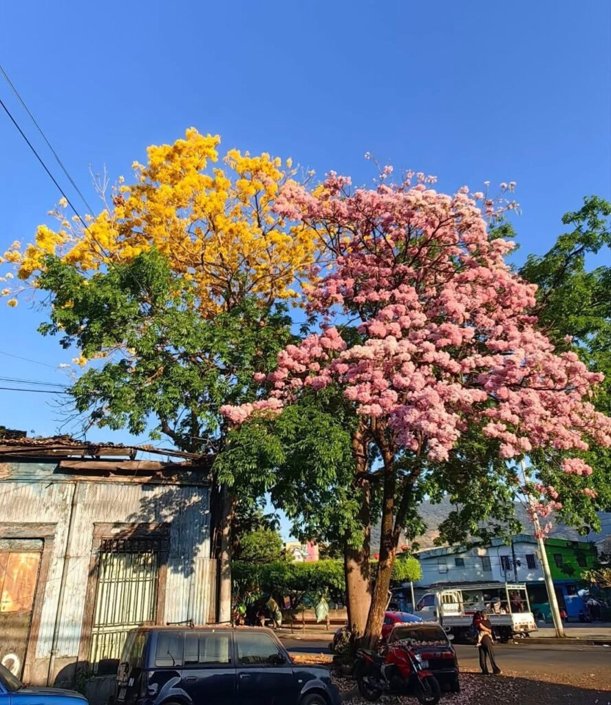 637673079 122143358054416789 7338660544181174769 n