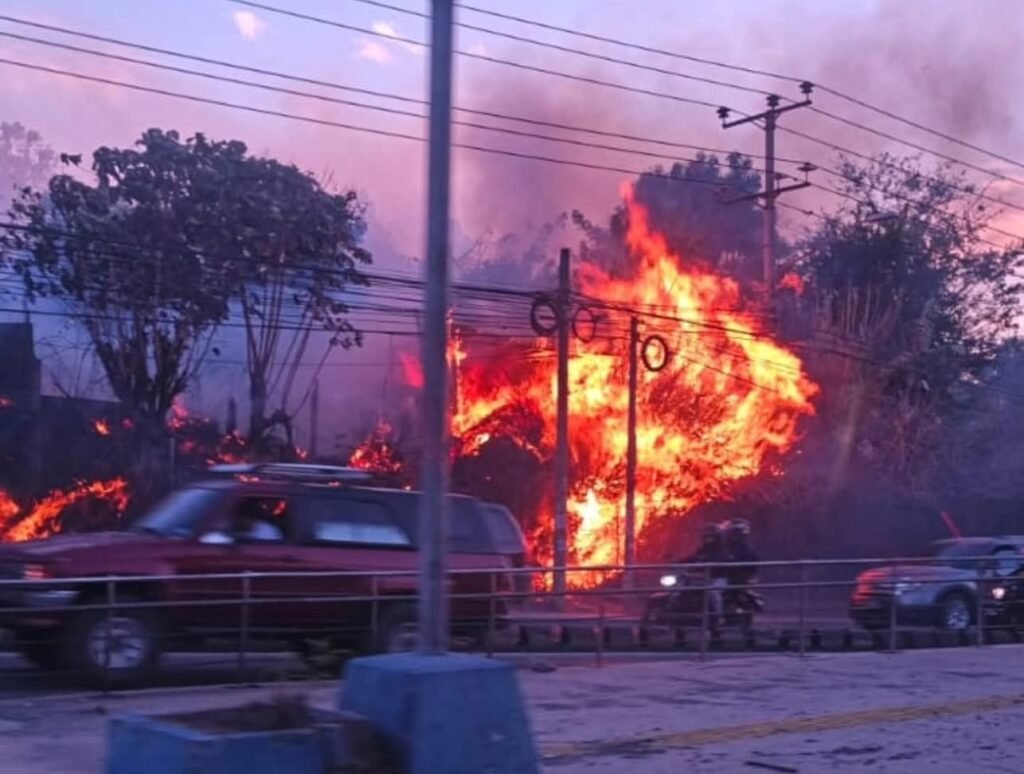 641020948 888451207510267 8522352165968383621 n