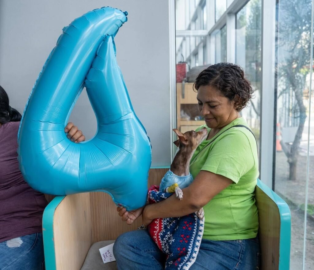 Chivo Pets: Cuatro años salvando vidas y creando historias junto a las mascotas 5 642314291 122143764518416789 7986448286334569286 n