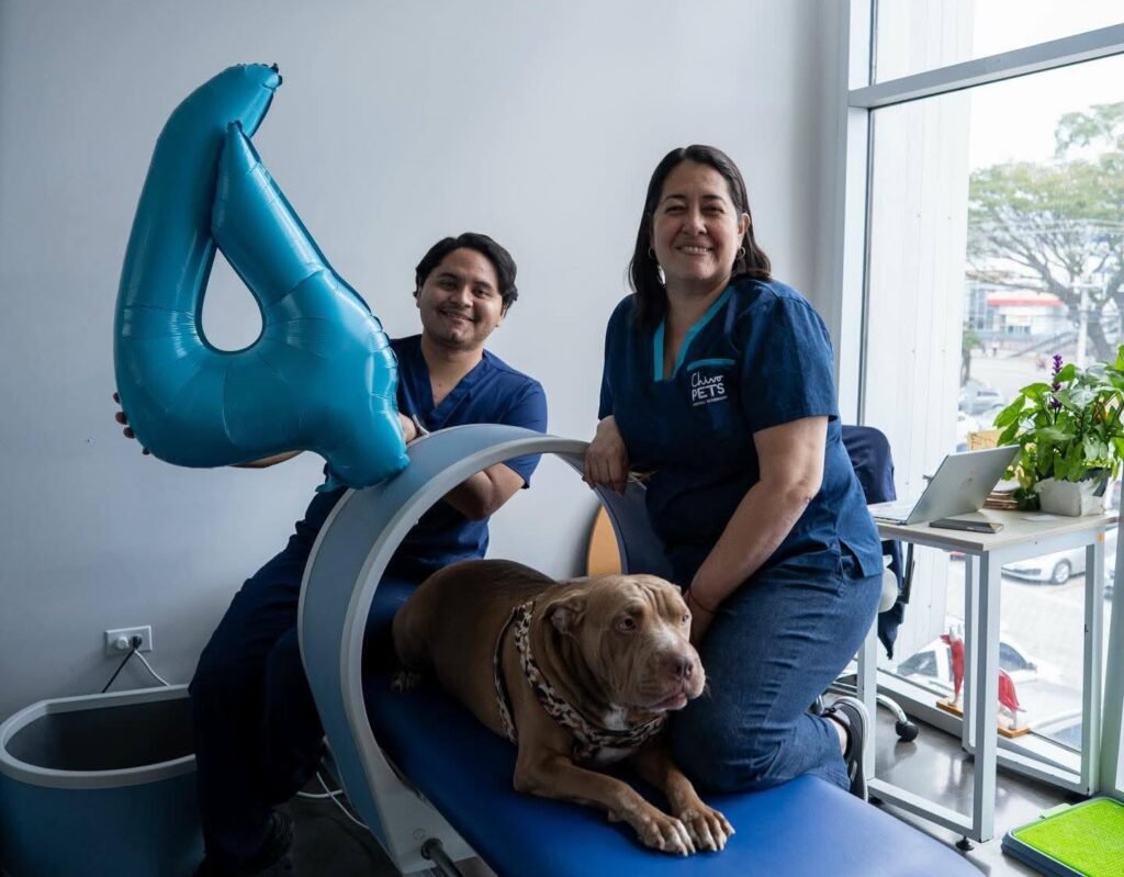 Chivo Pets: Cuatro años salvando vidas y creando historias junto a las mascotas 3 643790203 122143764440416789 8869093246849444925 n