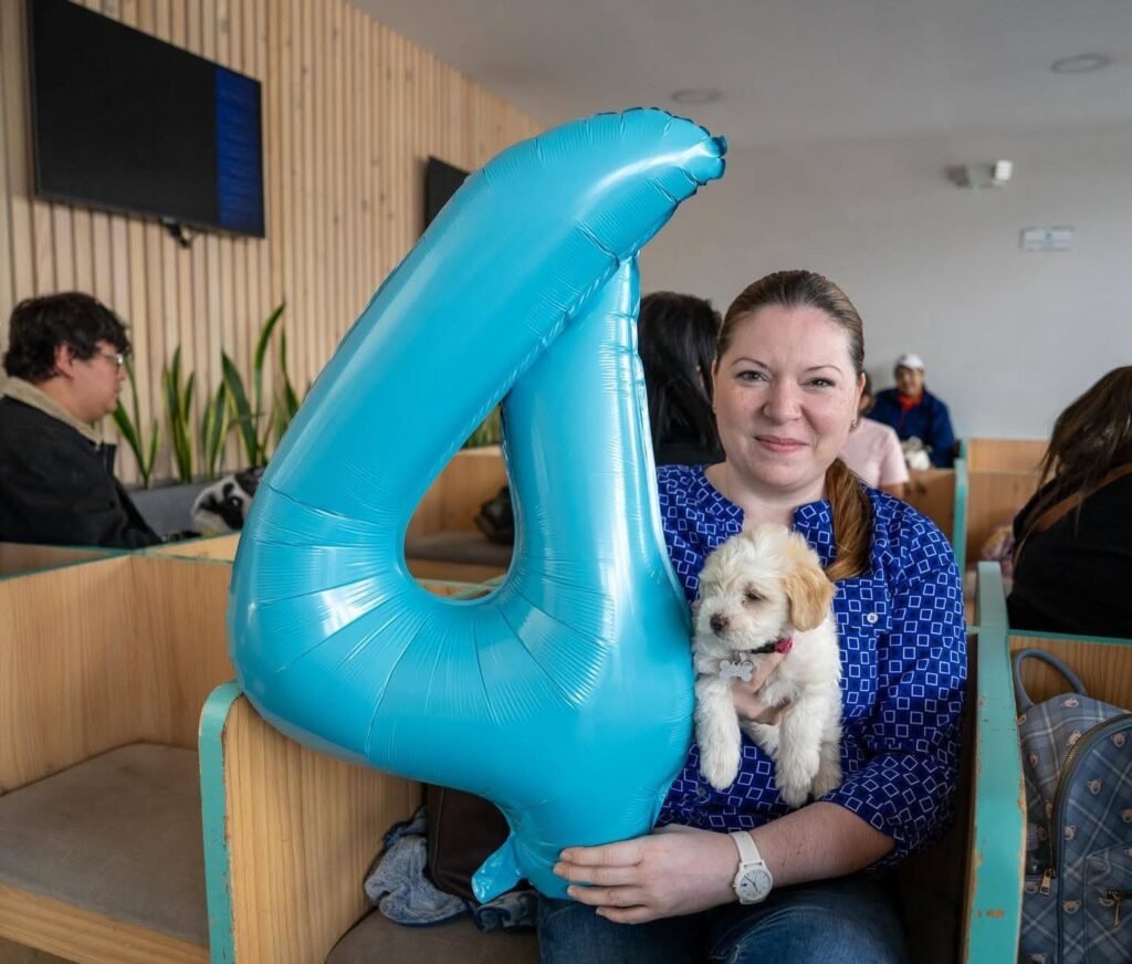 Chivo Pets: Cuatro años salvando vidas y creando historias junto a las mascotas 4 dfsdfsdfdf