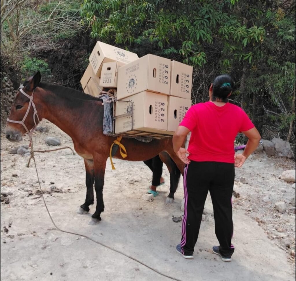 647159063 909487998543446 3998323117553822311 n