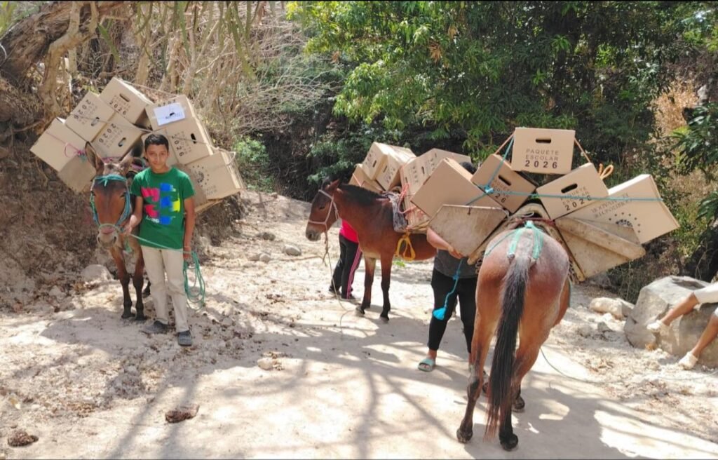 647400263 909487995210113 8859673505853648033 n