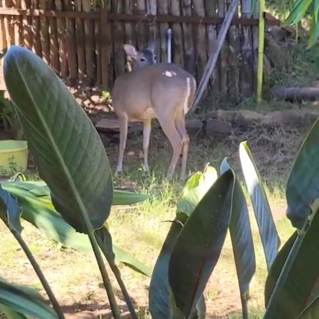 647485267 963867186169826 6318501126417028534 n