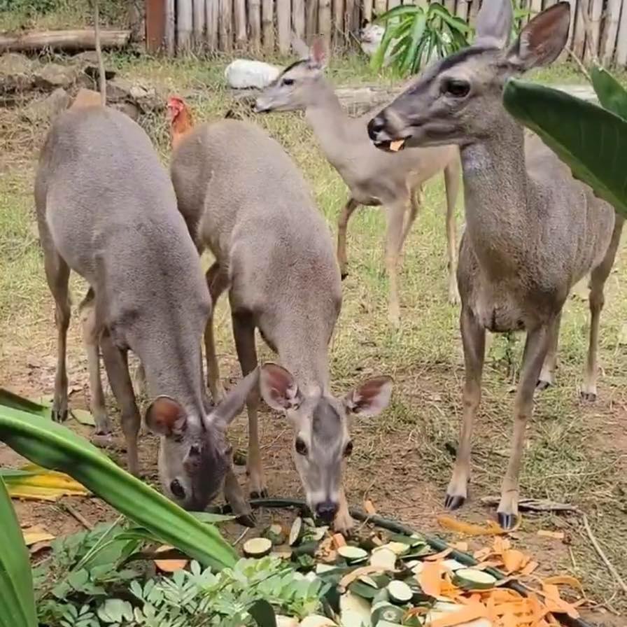 647487917 963867212836490 1739139883047016430 n