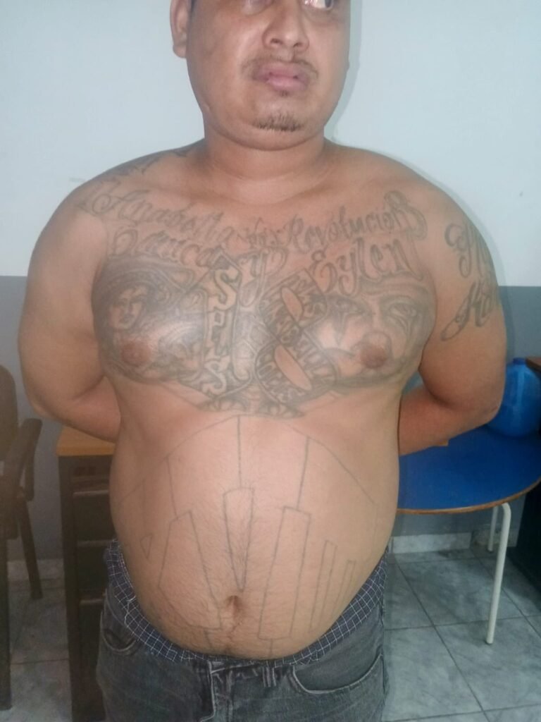 648463443 1375754441263090 2441833499017731152 n