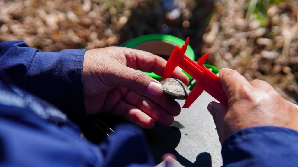 648472004 1360608592763123 8578900705613772389 n