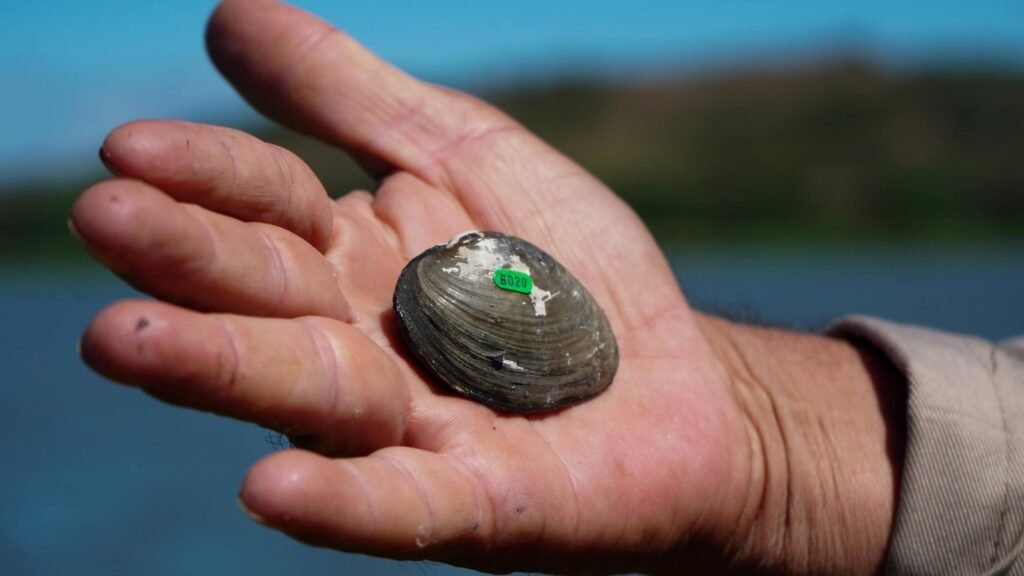 648534628 1360608719429777 215175415559339295 n 1