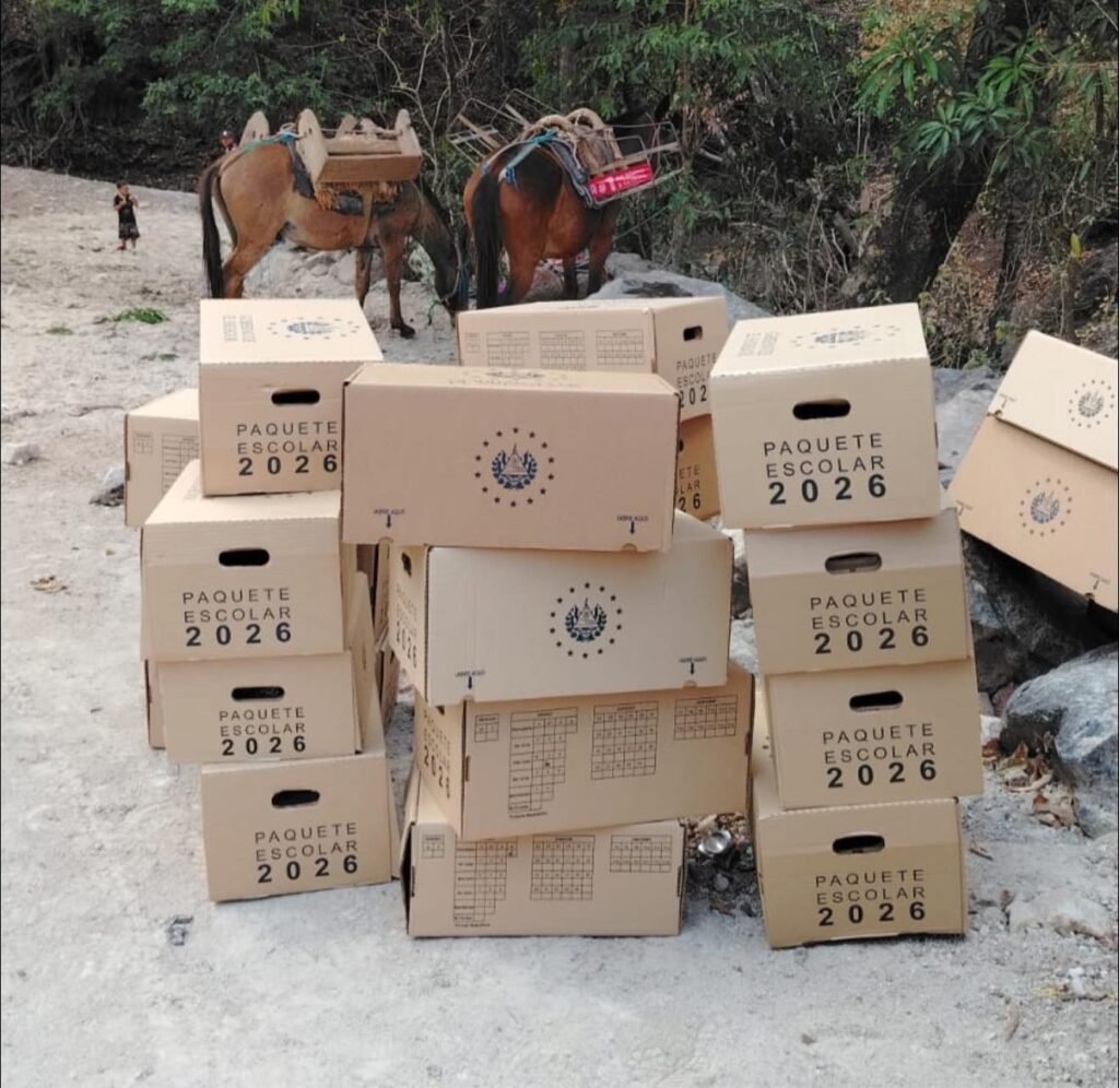 649107927 909487991876780 7428872740001944341 n