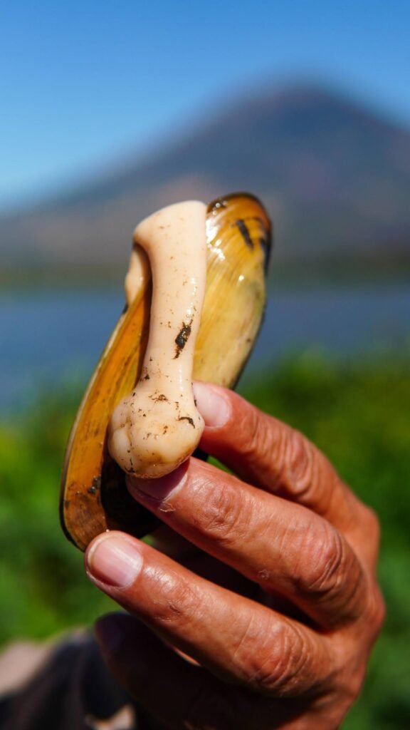 649250083 1360608482763134 7673670865309230146 n