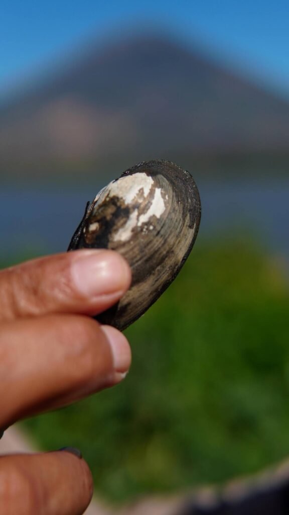 649614778 1360608536096462 2720701420894427913 n