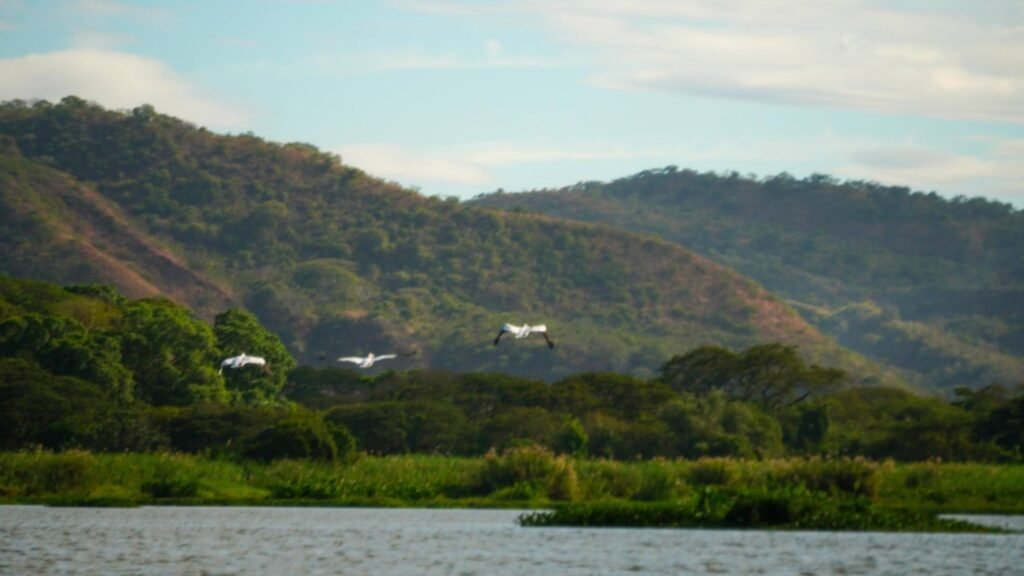 649873463 1360608779429771 4749242373542880134 n 2