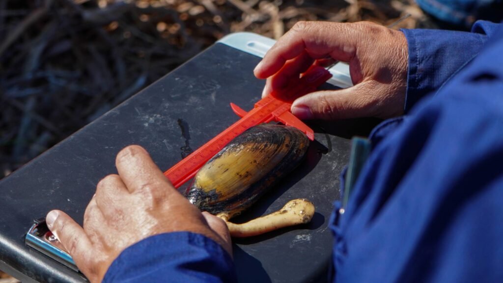 649980982 1360608662763116 7393255743400133396 n