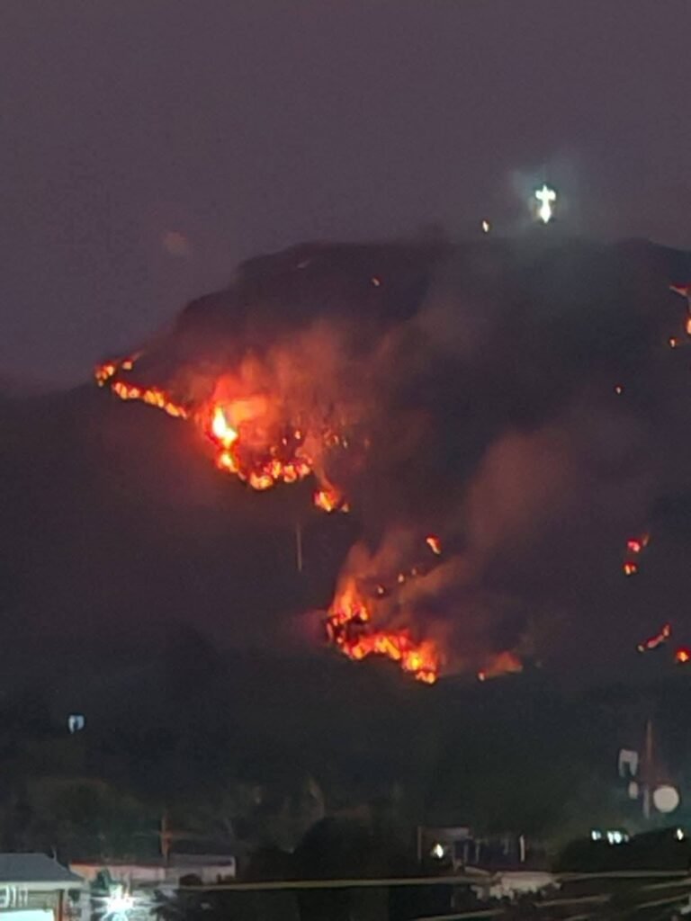 650039170 909974365122798 8530992730249049508 n