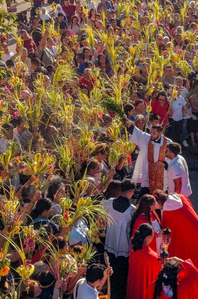 657159332 1307110301593227 4200059732722315821 n