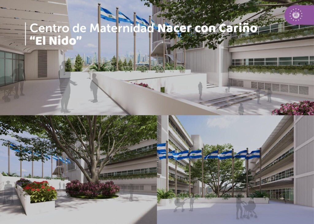 657606612 122315665346226820 7734210267157784183 n