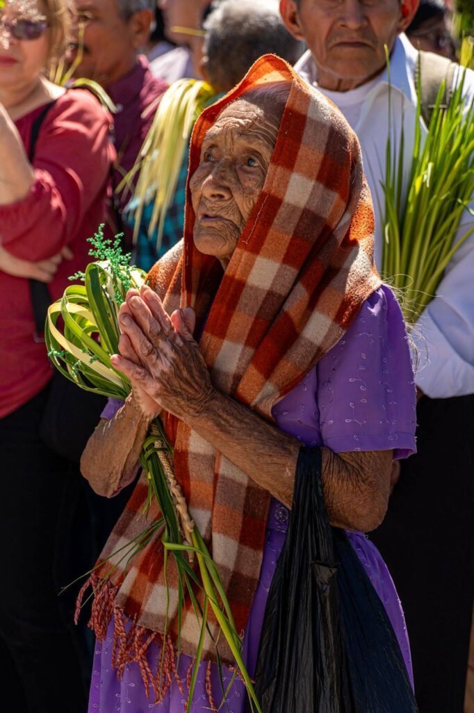 658066567 1605441874914869 8186753279612300379 n