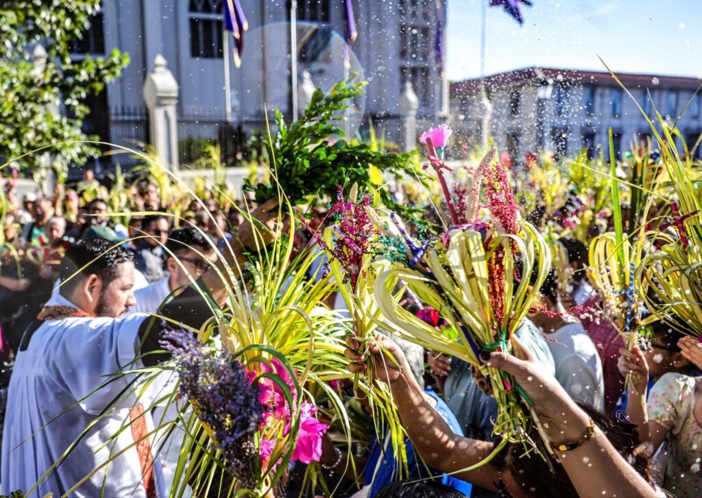 658670890 1512304387563537 1336173171650370870 n