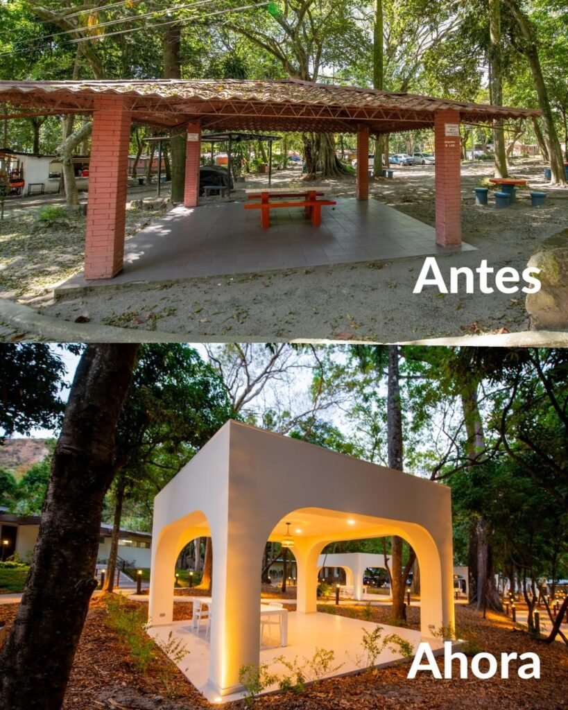 658751290 18048031454737049 8650907713088365348 n