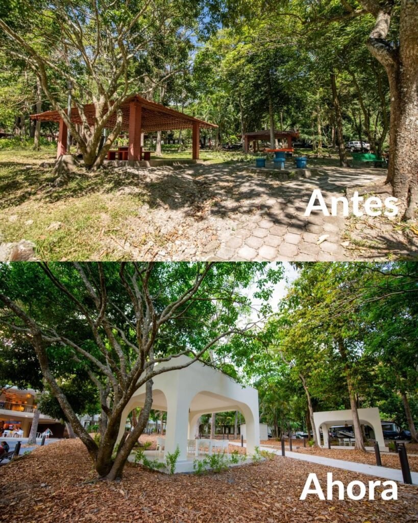 658842447 18048031490737049 3007280233286766788 n