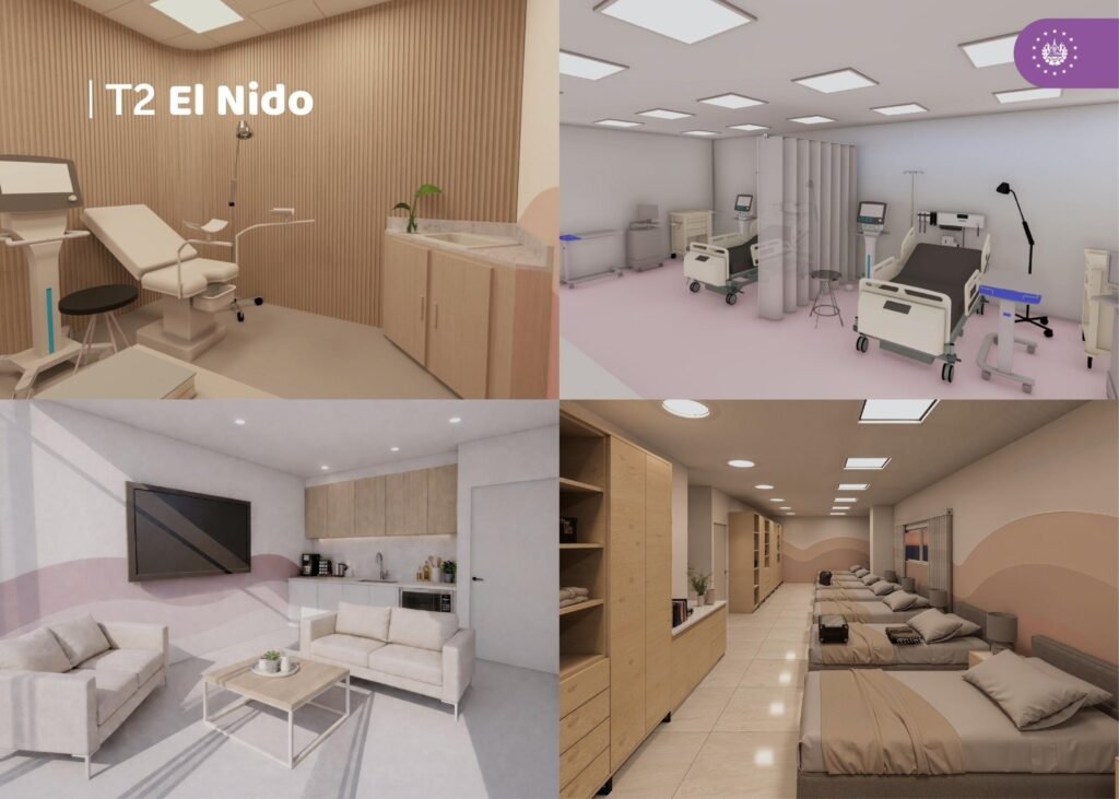 658992379 122315665406226820 1707993564809462585 n