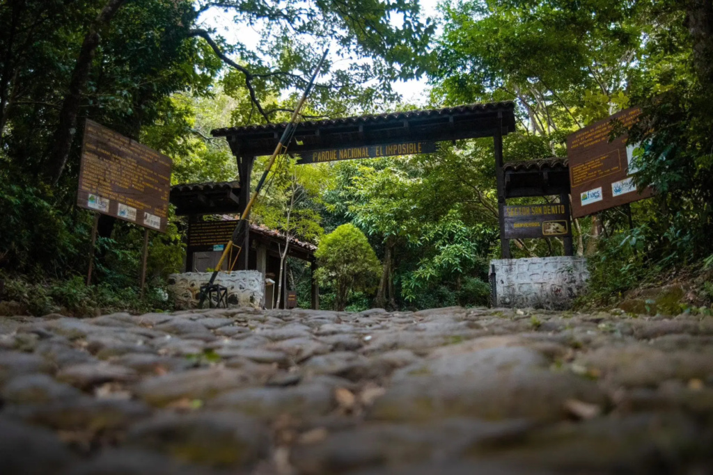 Bosque El Imposible es una Maravilla Mundial para el 2026 1 image 31