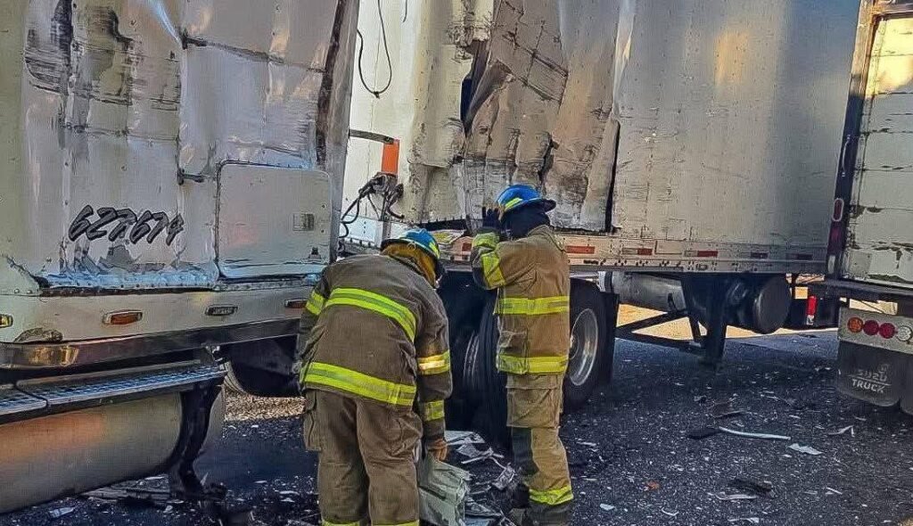 659038114 1618928149640556 8182342777161476138 n