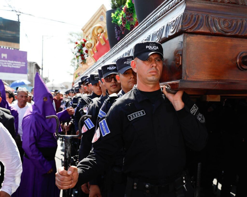 659878898 929646509860928 3330034971559432204 n