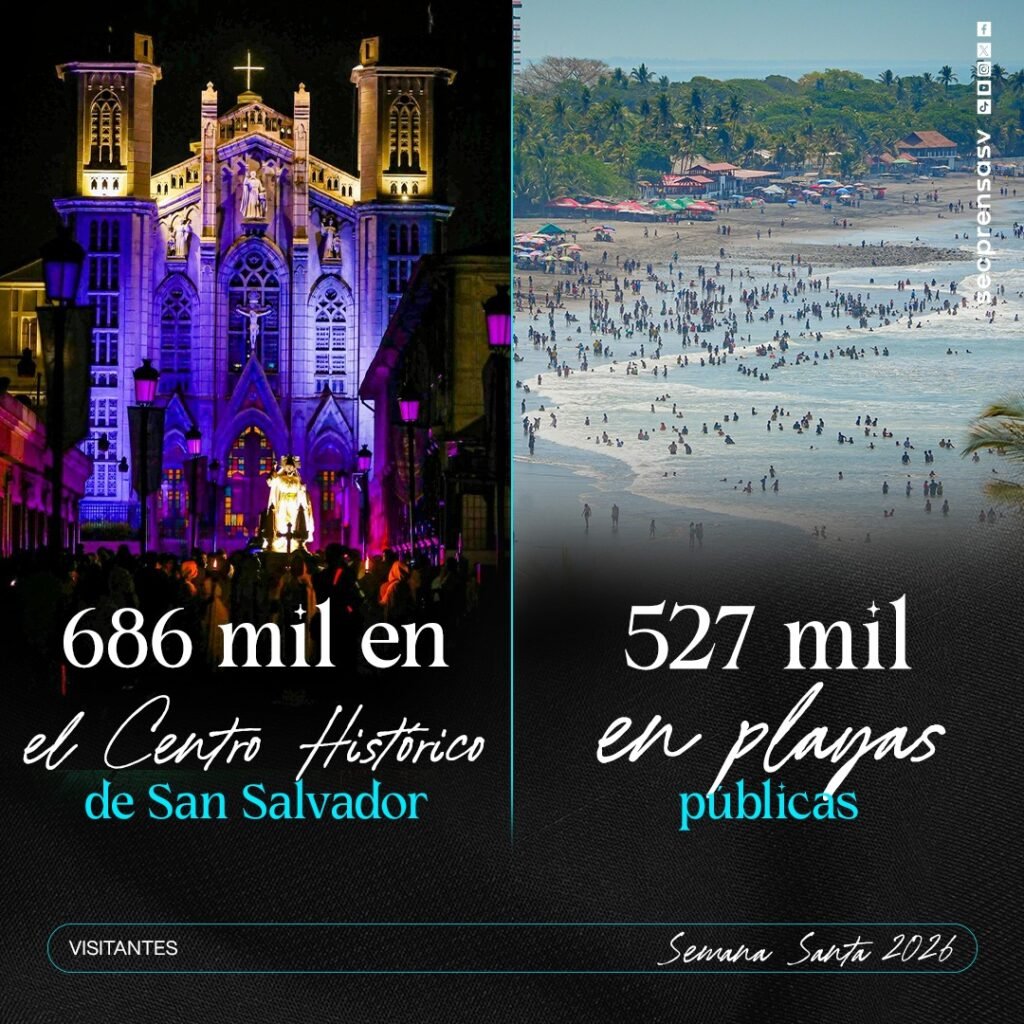 666001130 1313135407657383 3431272910704575252 n