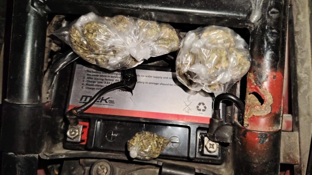 667943978 122318331884226820 7875931209585083334 n