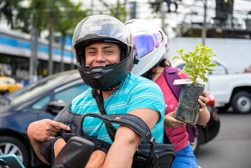 677779140 1459054476265018 6633935625742553570 n