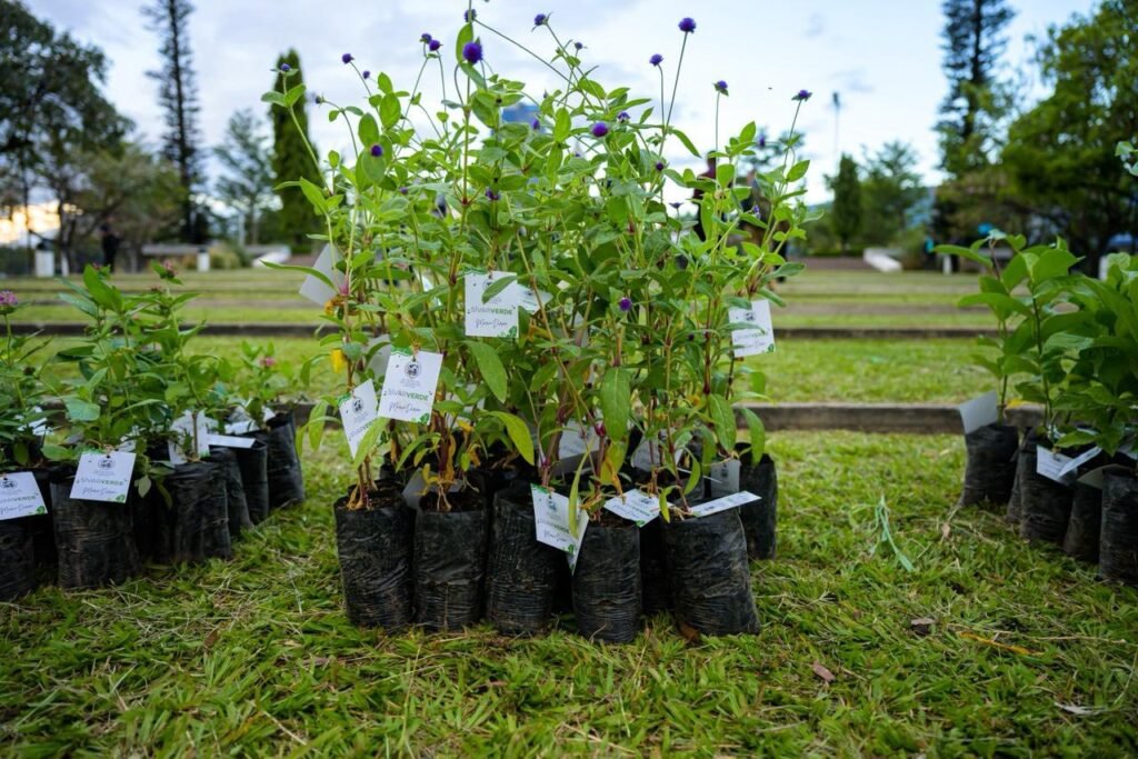 677843895 1459054879598311 5979868188863909714 n 1