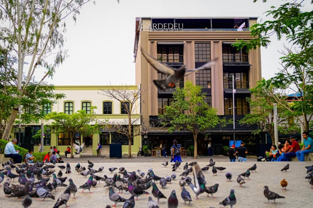 678645706 1327248109579446 5101293071025543840 n