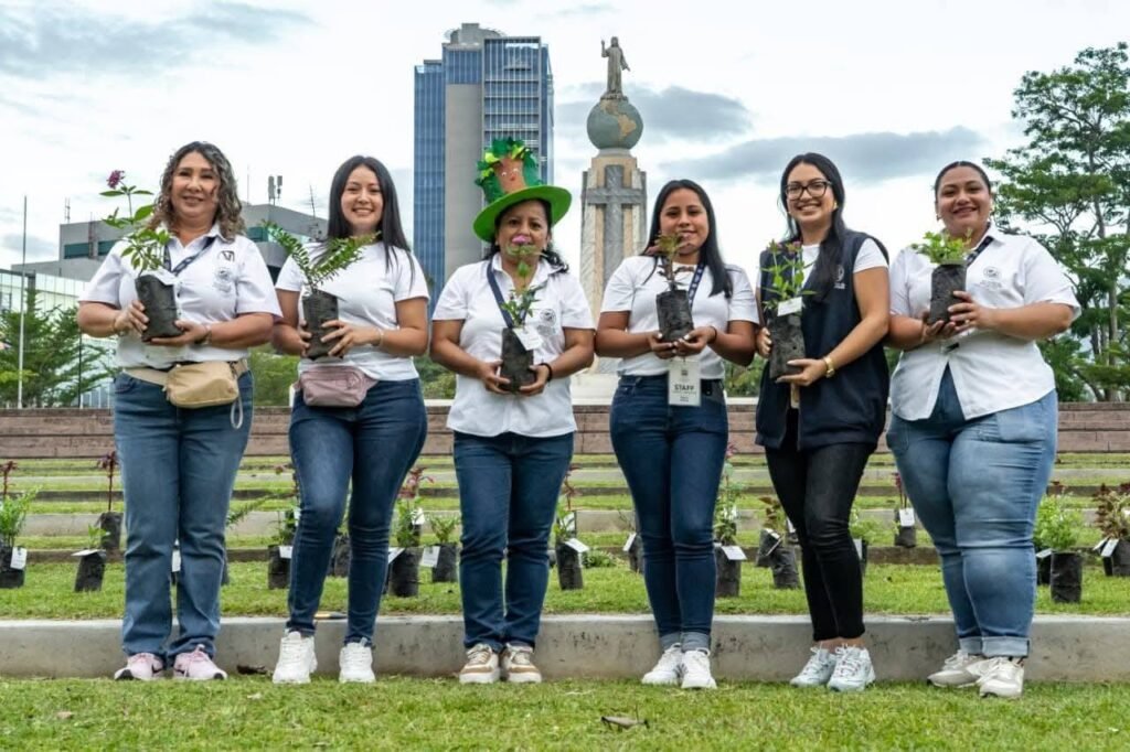 678966529 947173318163262 4510665529521170754 n