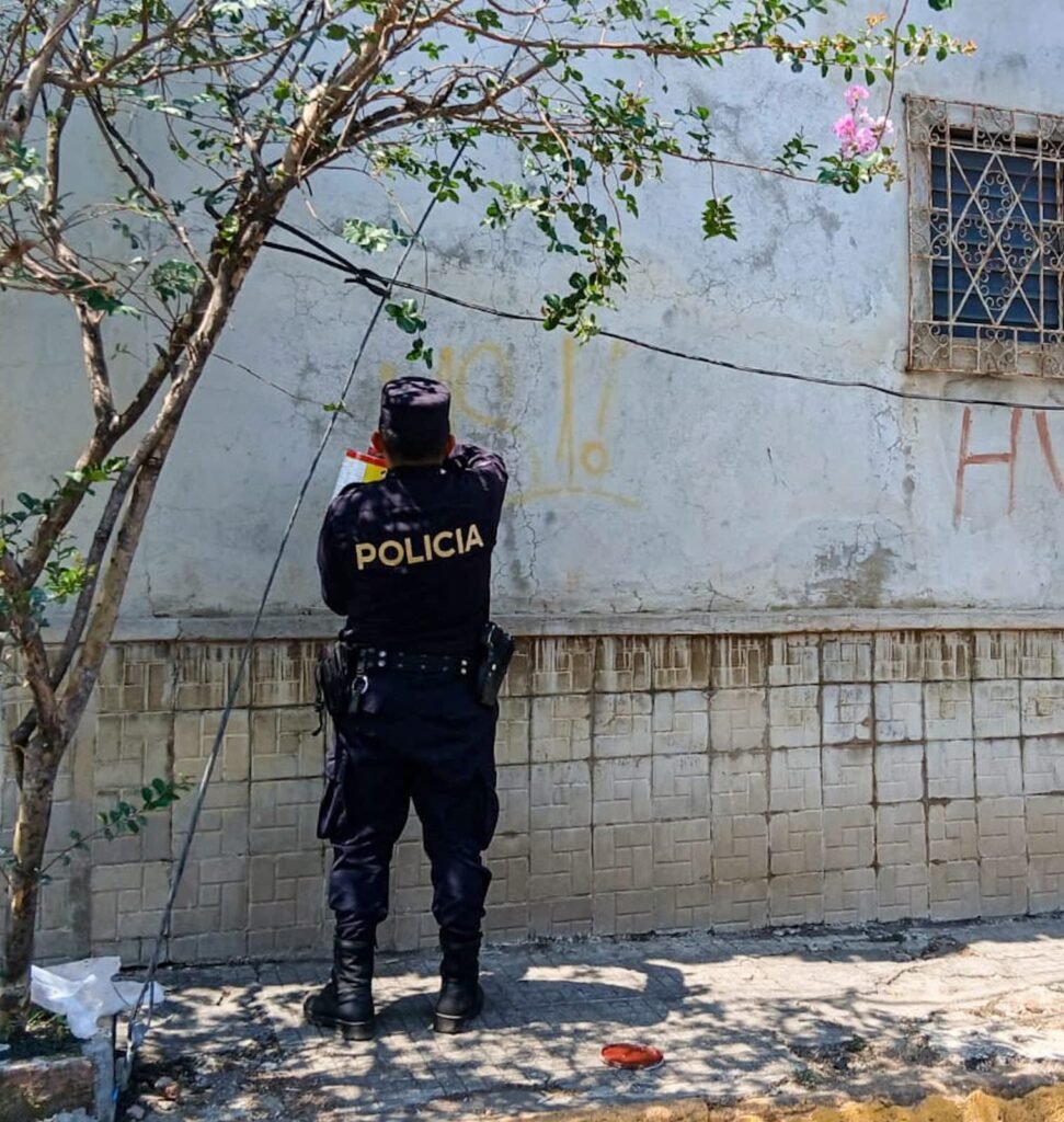 680582337 1531298501900174 5655651455158576919 n