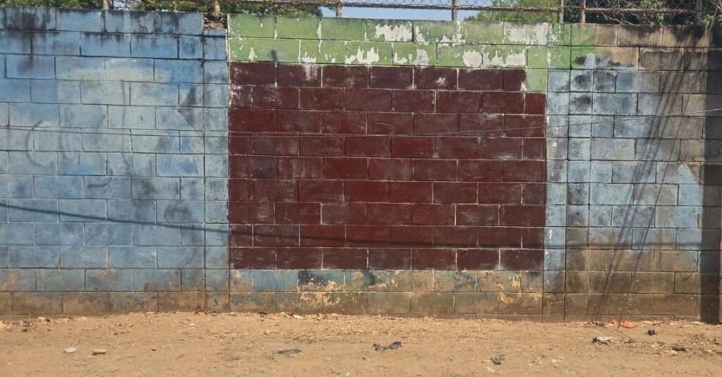 683733011 1531298481900176 8274422851482942447 n