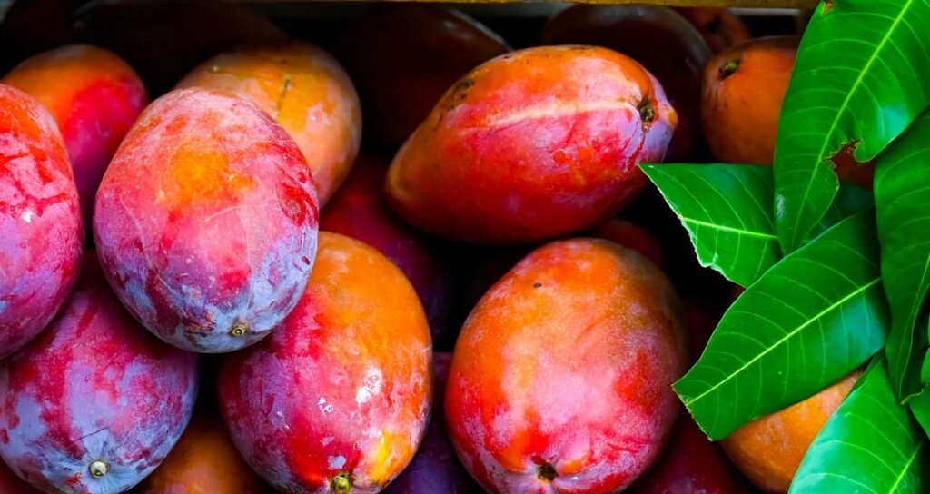 WhatsApp Image 2026 04 18 at 12.13.03 PM