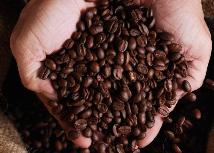 El café de El Salvador conquista Tokio a través de una nueva alianza con Sedai Coffee 1 image 155