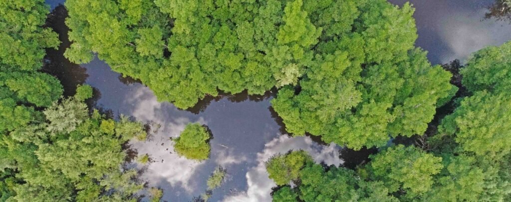 En el Día Mundial de la Biodiversidad, FIAES destaca las soluciones basadas en naturaleza como grandes aliadas para la protección de especies 4 FOTO FIAES Tomada en Barra de Santiago 2
