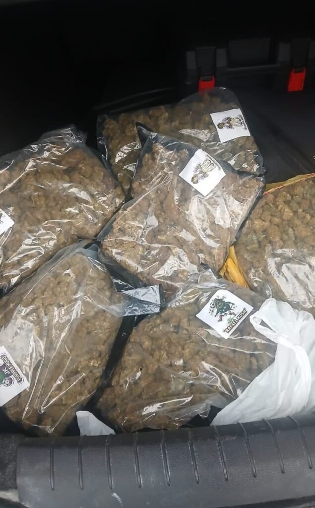 Golpe certero al narcotráfico local gracias a la denuncia ciudadana 4 dfasdfasdfasdfdfs