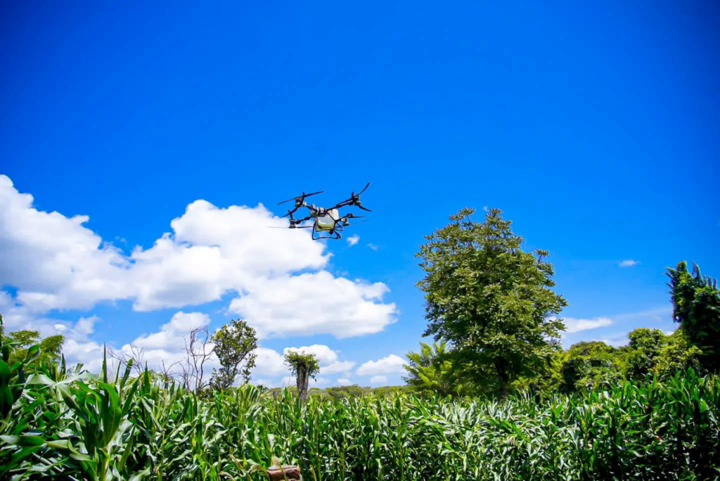 El alcalde de Santa Ana Centro, Gustavo Acevedo moderniza el campo mediante el uso de drones agrícolas 2 image 191