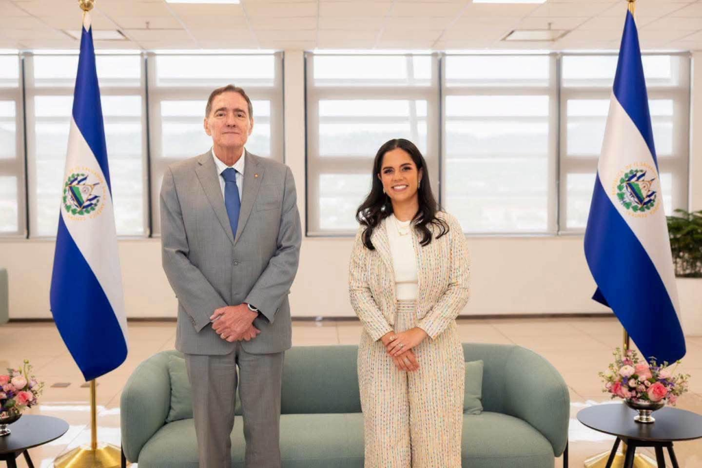 Primera Dama Gabriela de Bukele presenta los avances de la Ley Nacer con Cariño ante la OPS 3 image 303