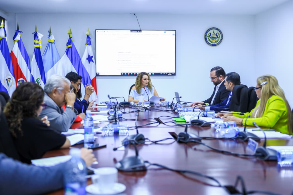 Ratificación de convenio validaría licencias de conductores salvadoreños e italianos 1 image 557